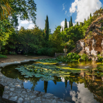Atatürk Arboretumu (1)