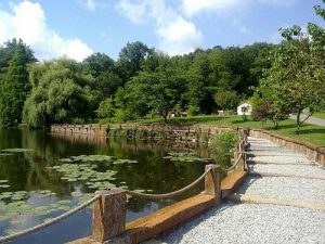 Atatürk Arboretumu (1)