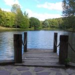 Atatürk Arboretumu (2)