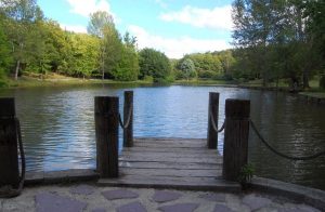 Atatürk Arboretumu (2)