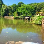 Atatürk Arboretumu (3)