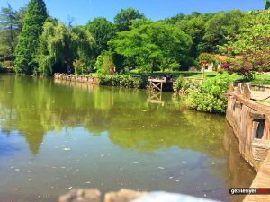 Atatürk Arboretumu (3)