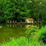 Atatürk Arboretumu (4)