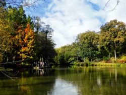 Atatürk Arboretumu Nerede, Nasıl Gidilir?